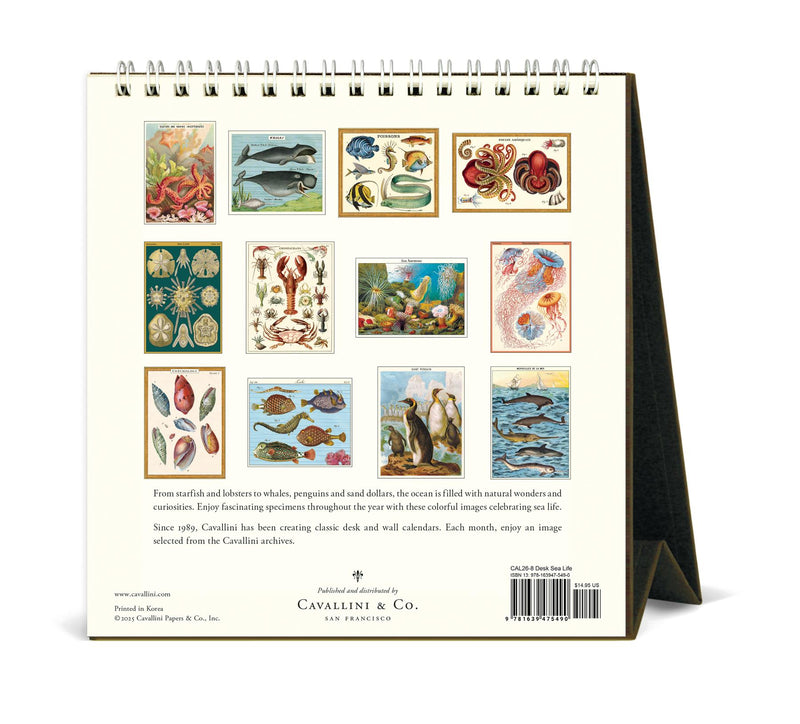 Cavallini - 2026 Desk Calendar - 6 x 6.5ins - Sea Life/Merveilles de la Mer/Poissons