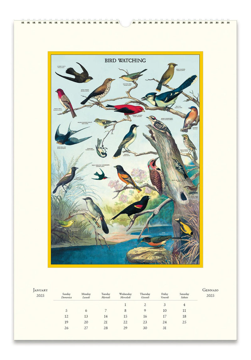 Cavallini - 2025 Wall Calendar - 13 x 19ins - Bird Watching/Ornithology