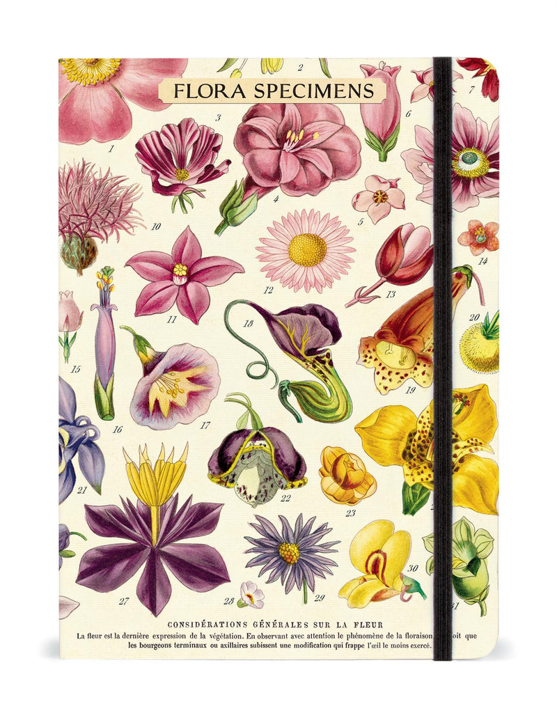 Cavallini - Large Lined Notebook 6x8ins - Vintage World Map - Flora Specimens - 144 Pages With Elastic Enclosure