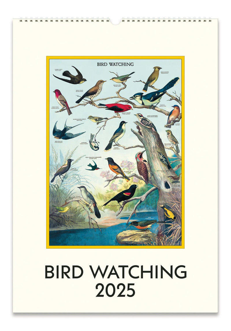 Cavallini - 2025 Wall Calendar - 13 x 19ins - Bird Watching/Ornithology