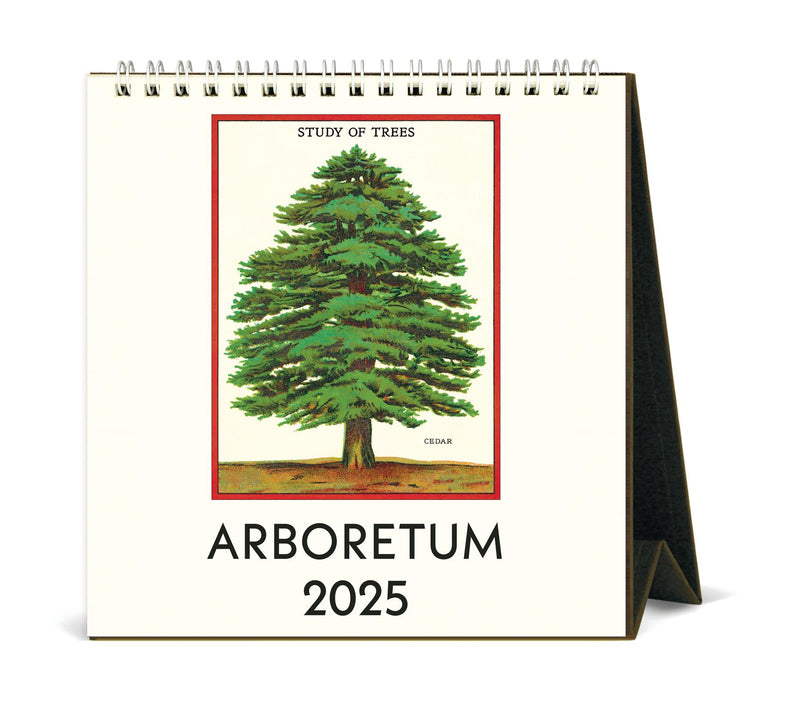 Cavallini - 2025 Desk Calendar - 6 x 6.5ins - Arboretum/Trees