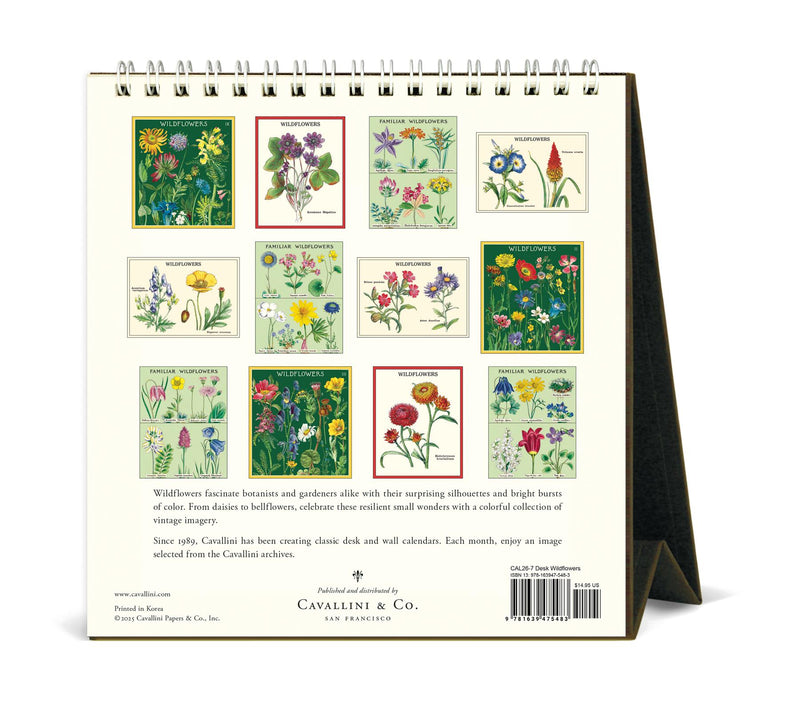 Cavallini - 2026 Desk Calendar - 6 x 6.5ins - Wildflowers