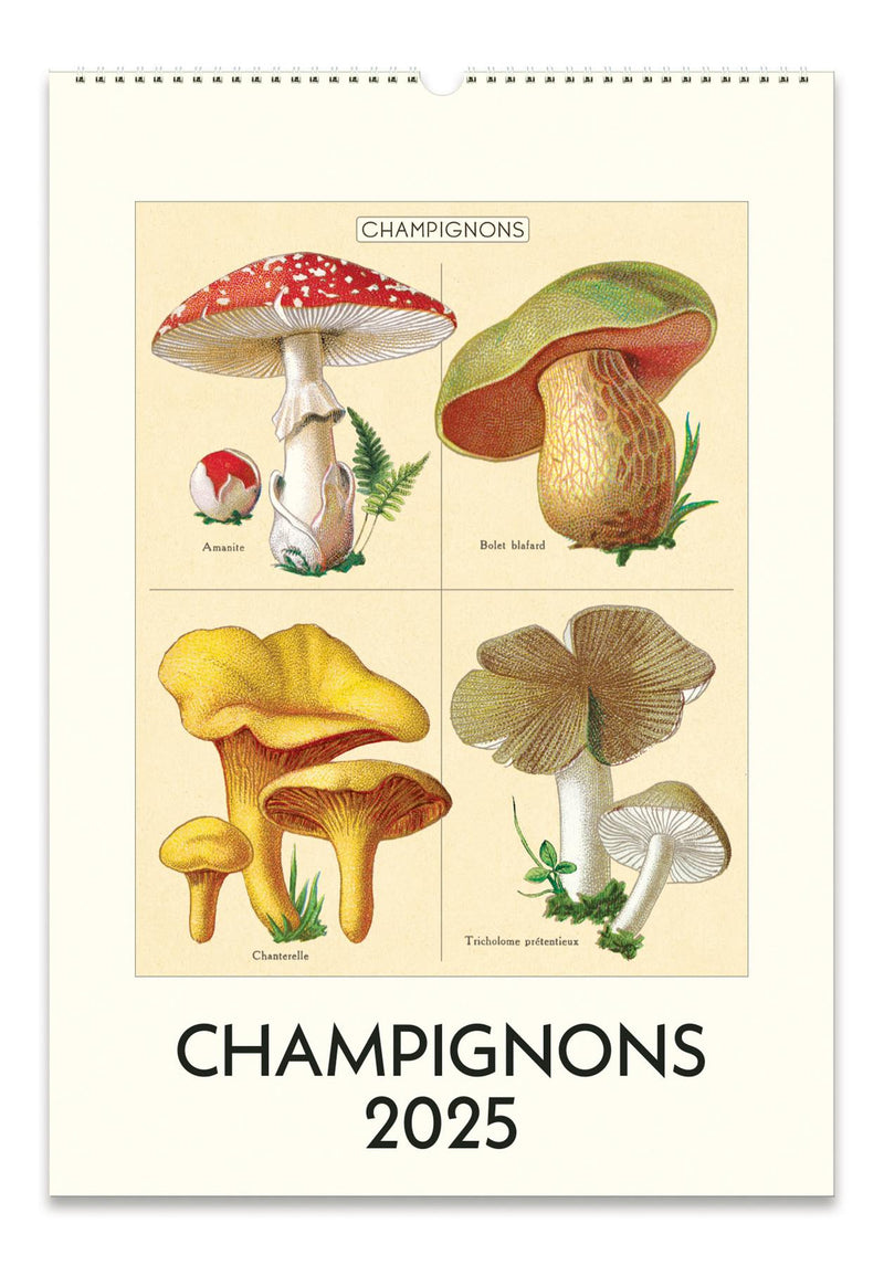 Cavallini - 2025 Wall Calendar - 13 x 19ins - Mushrooms/Fungi/Champignons