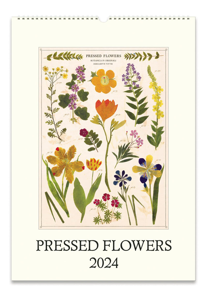 Cavallini - 2024 Wall Calendar - 13 x 19ins - Pressed Flowers & Plants