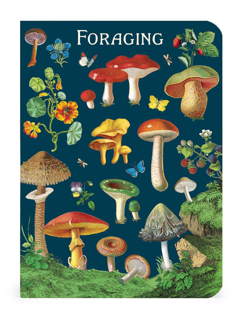 Cavallini - Set of 3 Mini Notebooks - Foraging Plants & Mushrooms - Lined, Blank & Graph Interiors