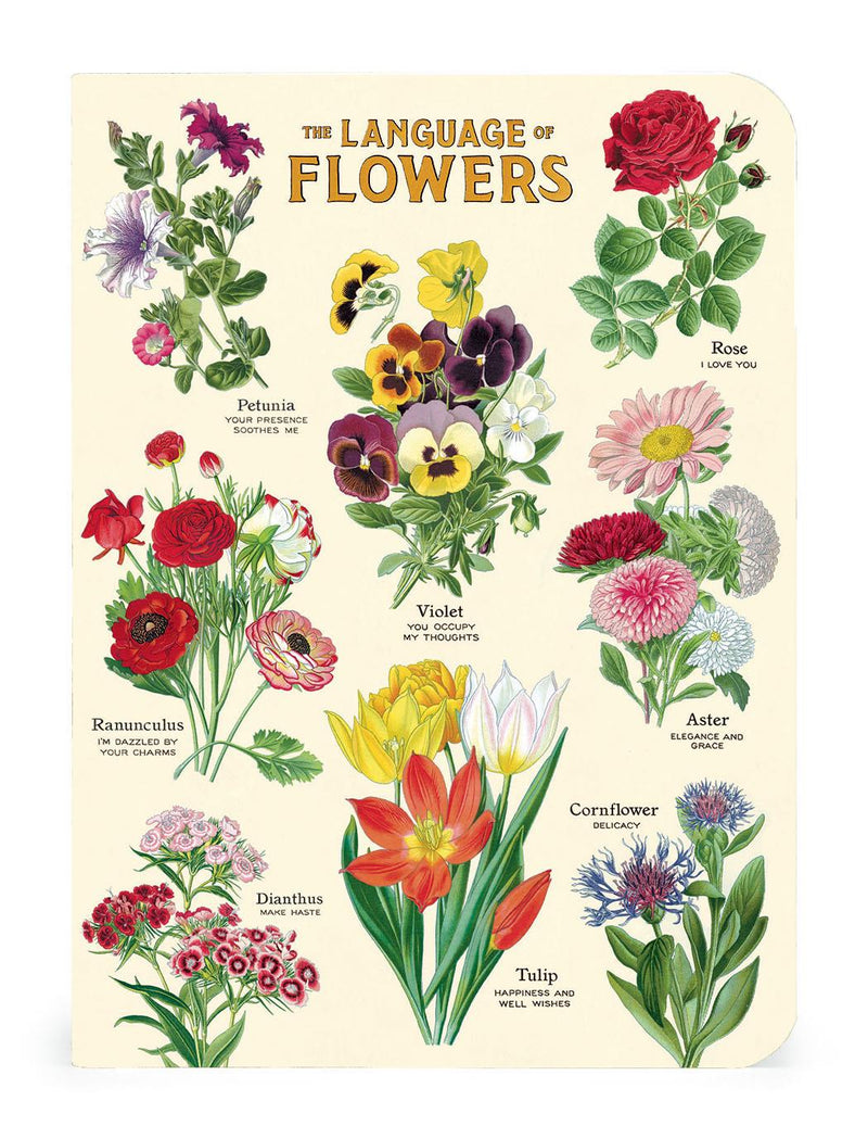 Cavallini - Set of 3 Mini Notebooks - Language of Flowers - Lined, Blank & Graph Interiors