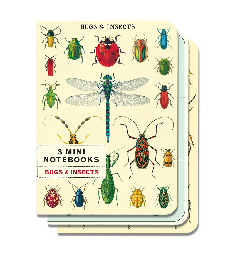 Cavallini - Set of 3 Mini Notebooks - Bugs & Insects - Lined, Blank & Graph Interiors