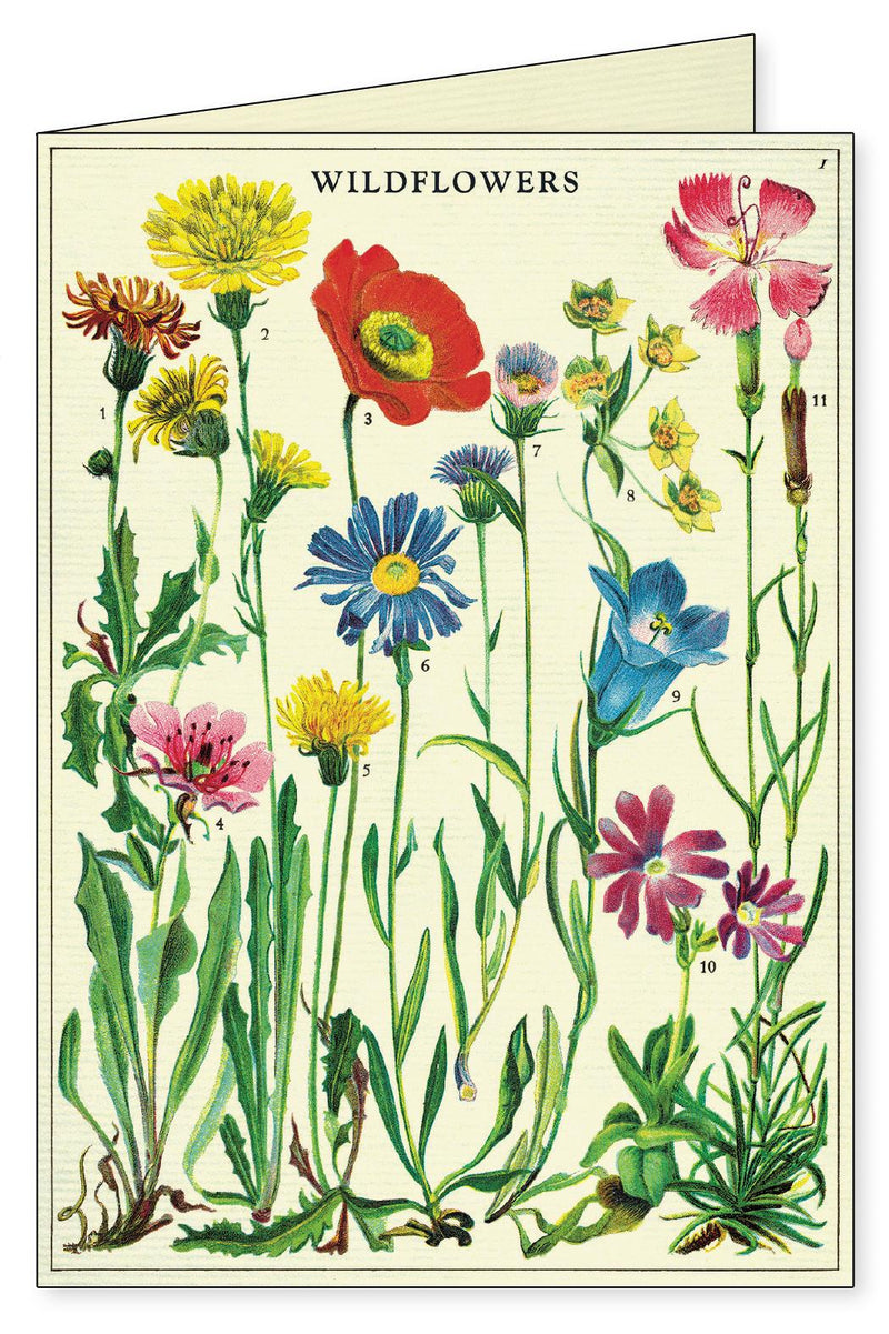 Cavallini - 8 Assorted Notecards - 4 Designs/2 Per Design - Wildflowers
