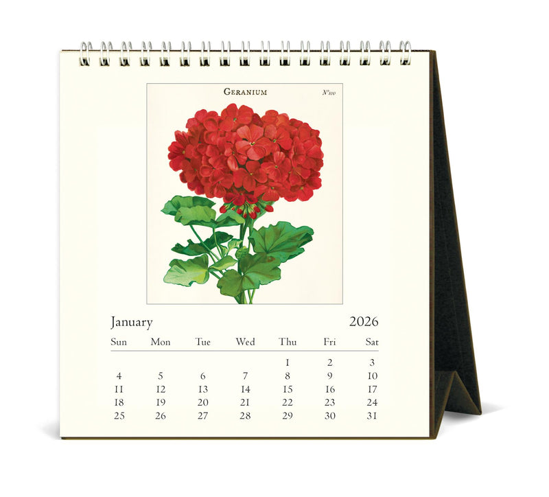 Cavallini - 2026 Desk Calendar - 6 x 6.5ins - Botanica/Peony