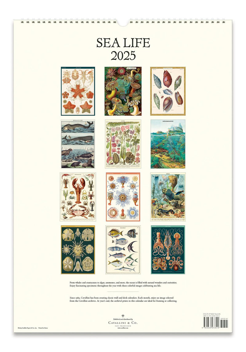 Cavallini - 2025 Wall Calendar - 13 x 19ins - Sea Life/Ocean Flora