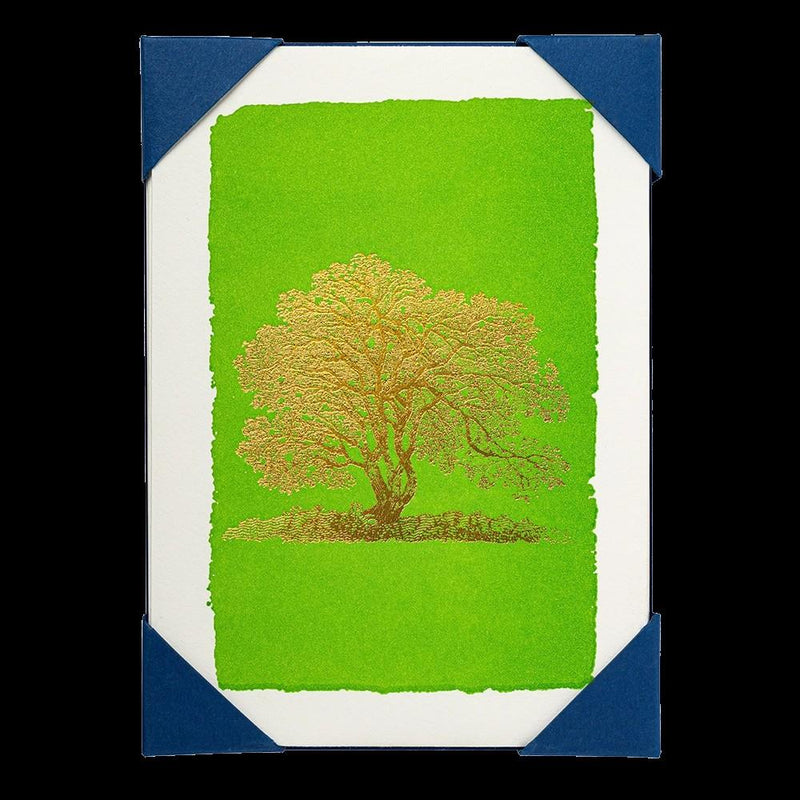 Green With Gold Foil Oak Tree - 5 Letterpress Notecards & Envelopes - Archivist