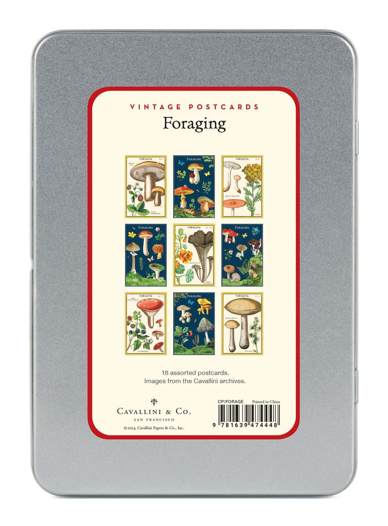 Cavallini - Carte Postale - Foraging - Tin of 18 Vintage Postcards - 9 Designs/2 Per Design