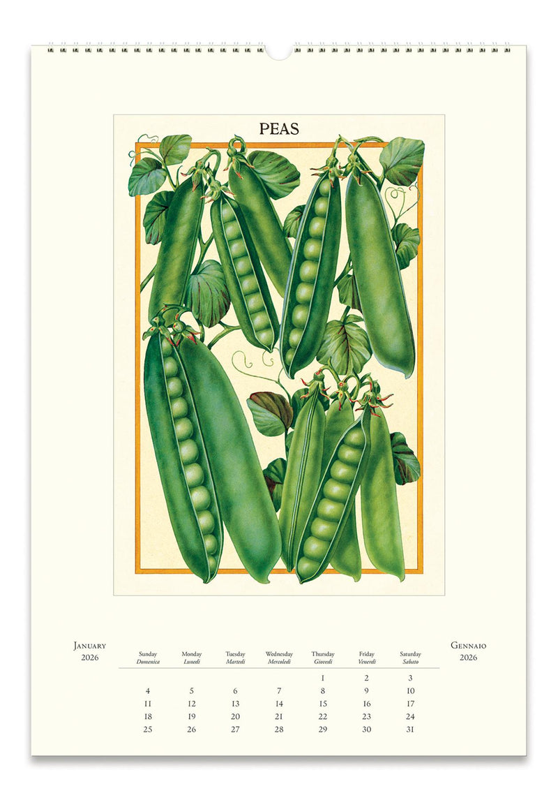 Cavallini - 2026 Wall Calendar - 13 x 19ins - Farmer&