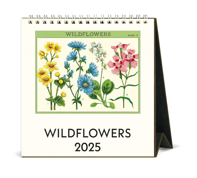 Cavallini - 2025 Desk Calendar - 6 x 6.5ins - Wildflowers