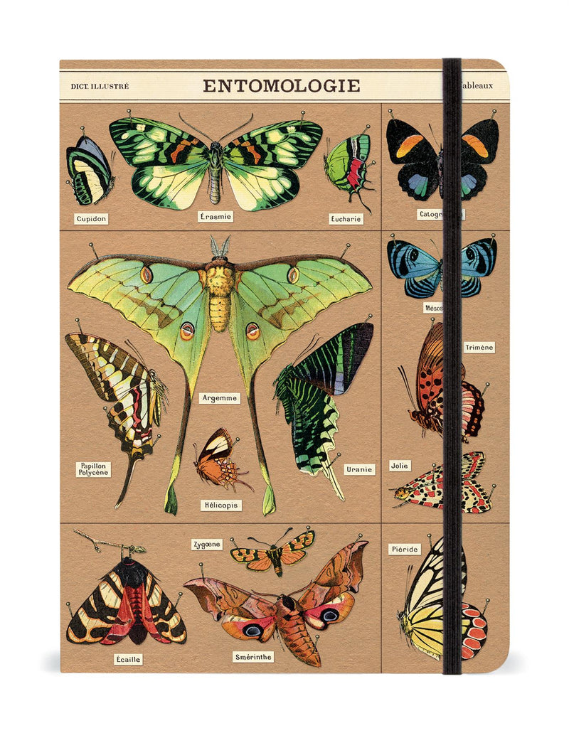 Cavallini - Large Lined Notebook 6x8ins - Entomology/Entomologie - 144 Pages With Elastic Enclosure