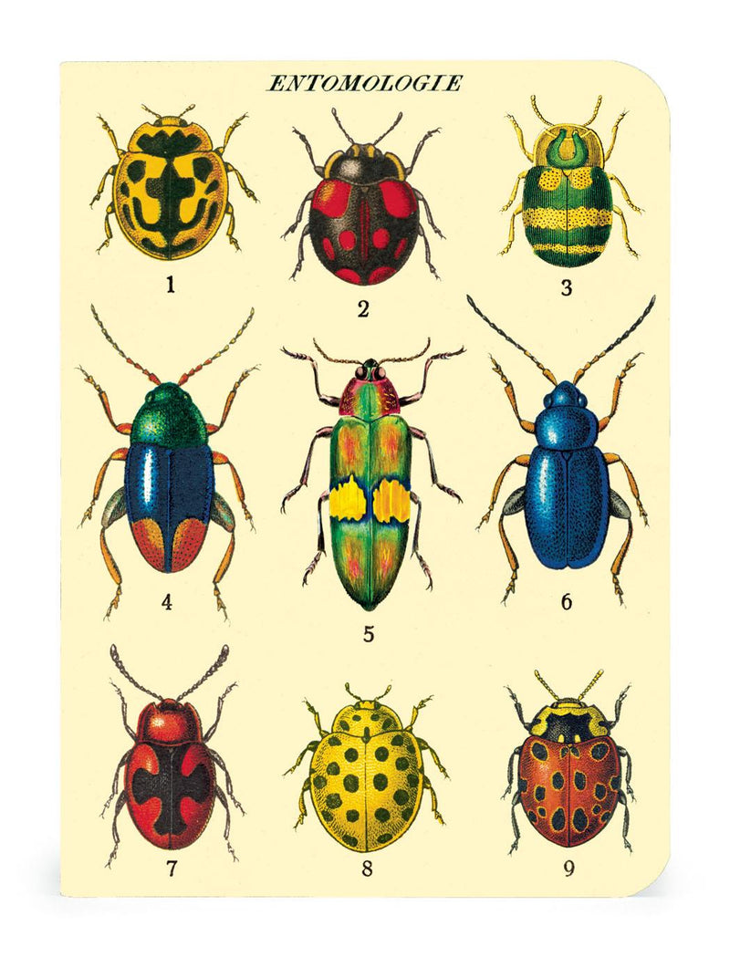 Cavallini - Set of 3 Mini Notebooks - Bugs & Insects - Lined, Blank & Graph Interiors