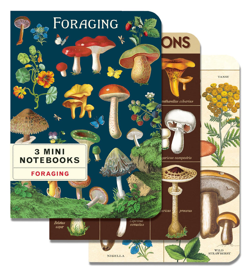 Cavallini - Set of 3 Mini Notebooks - Foraging Plants & Mushrooms - Lined, Blank & Graph Interiors