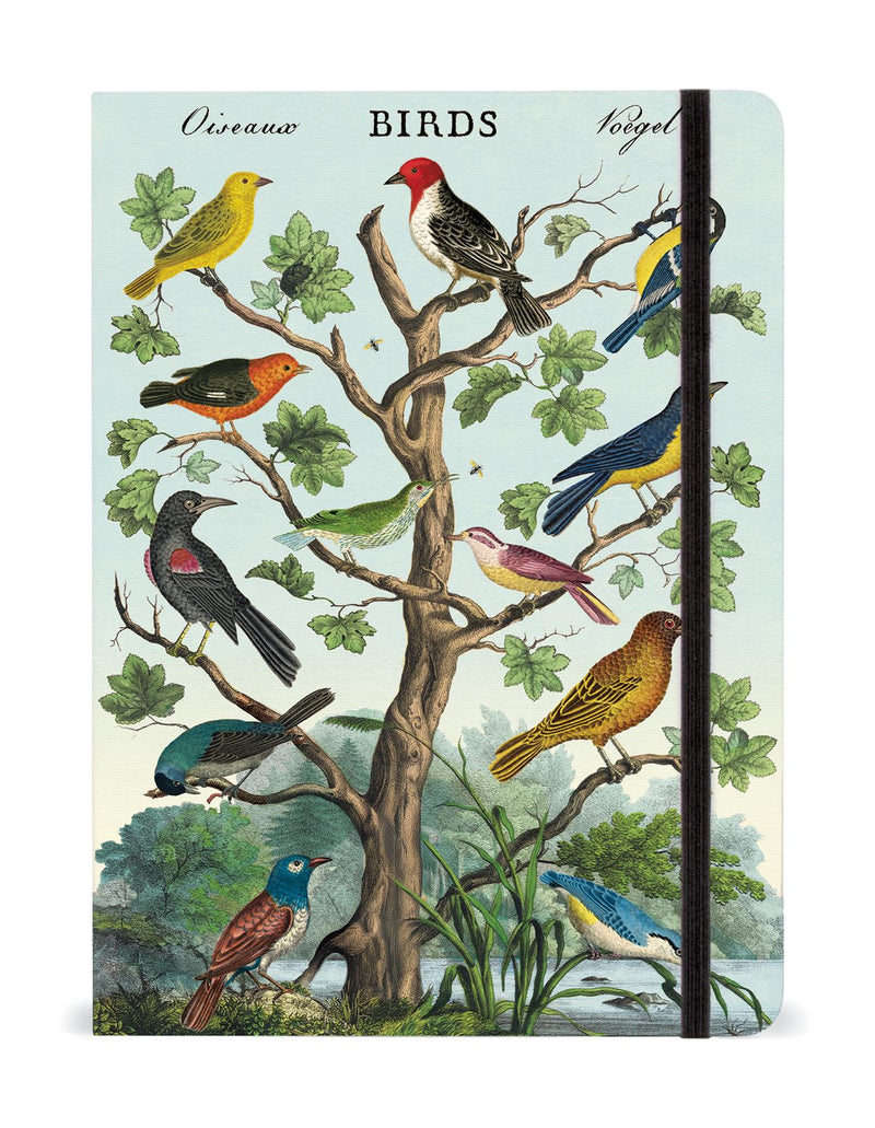 Cavallini - Large Lined Notebook 6x8ins - Birds/Oiseaux - 144 Pages With Elastic Enclosure