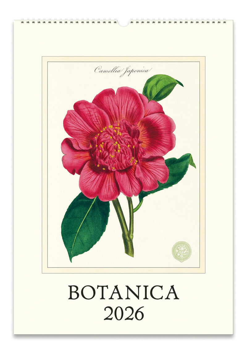 Cavallini - 2026 Wall Calendar - 13 x 19ins - Botanica/Camellia Japonica