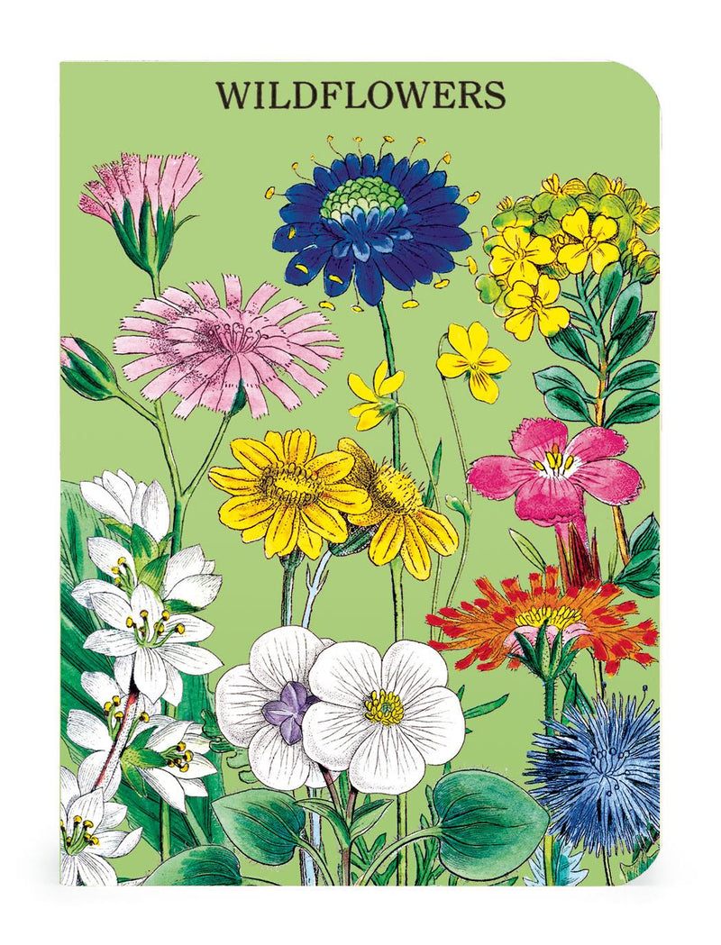 Cavallini - Set of 3 Mini Notebooks - Widflowers (WF2) - Lined, Blank & Graph Interiors