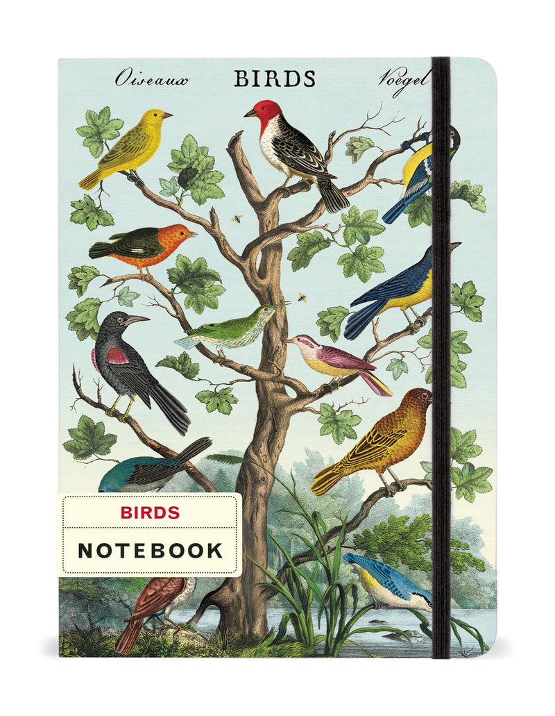 Cavallini - Large Lined Notebook 6x8ins - Birds/Oiseaux - 144 Pages With Elastic Enclosure
