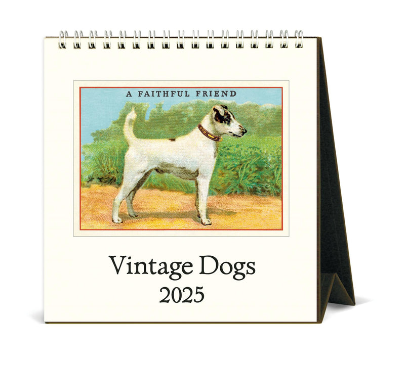 Cavallini - 2025 Desk Calendar - 6 x 6.5ins - Vintage Dogs