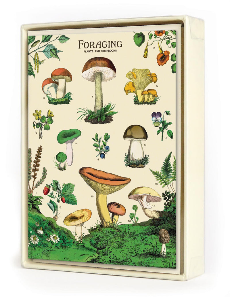 Cavallini - 8 Assorted Notecards - 4 Designs/2 Per Design - Foraging Plants & Mushrooms