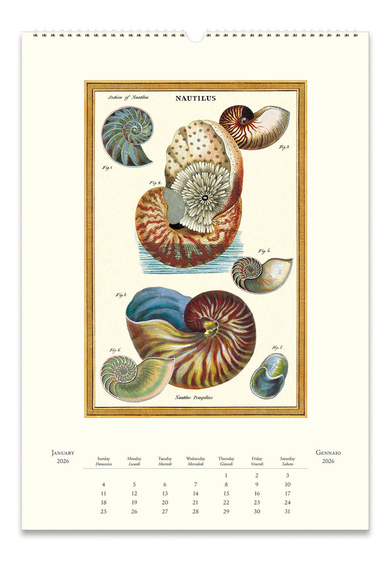 Cavallini - 2026 Wall Calendar - 13 x 19ins - Sea Life/Ocean Flora