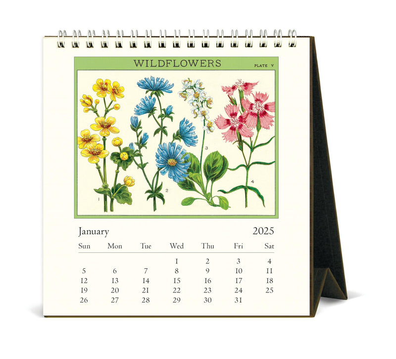 Cavallini - 2025 Desk Calendar - 6 x 6.5ins - Wildflowers