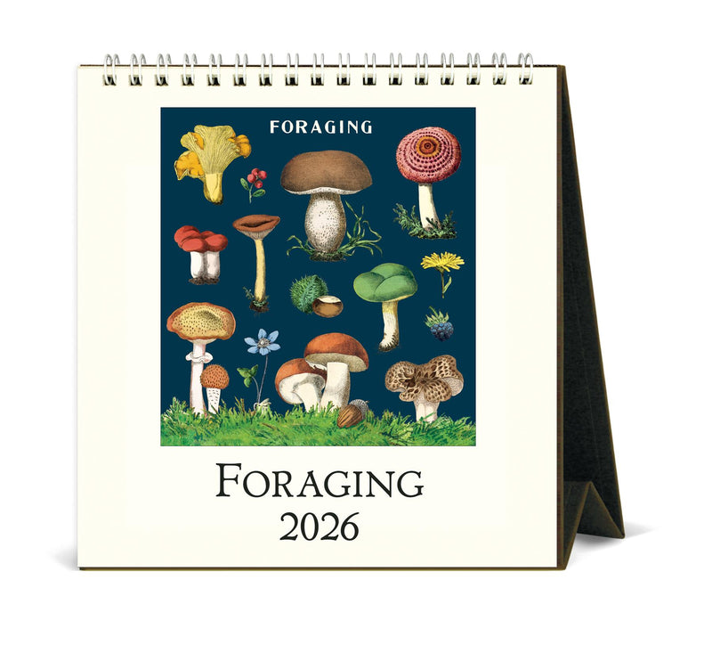 Cavallini - 2026 Desk Calendar - 6 x 6.5ins - Foraging Mushrooms & Plants