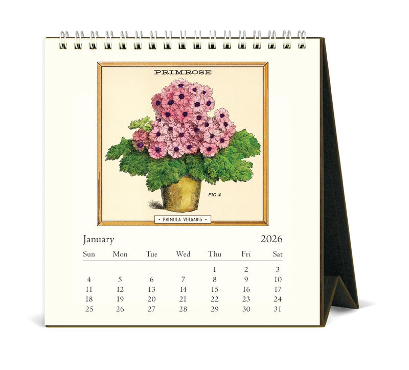 Cavallini - 2026 Desk Calendar - 6 x 6.5ins - Jardiniere/Potted Plants