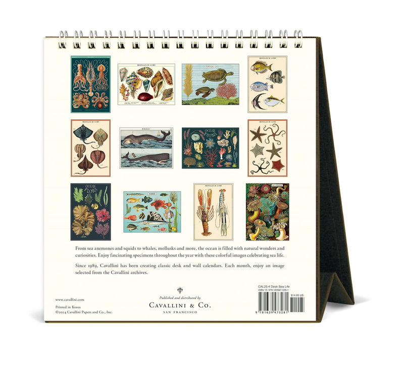 Cavallini - 2025 Desk Calendar - 6 x 6.5ins - Sea Life/Merveilles de la Mer