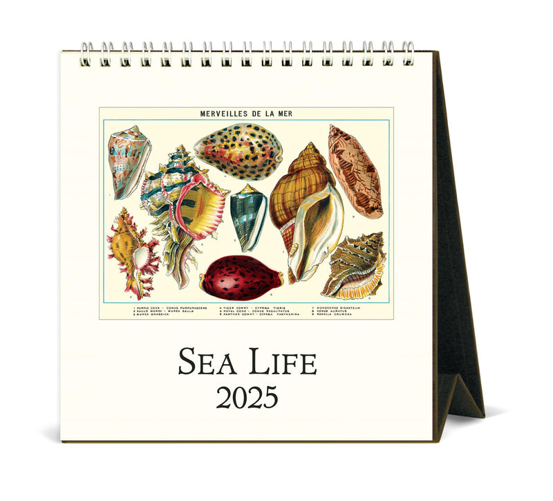 Cavallini - 2025 Desk Calendar - 6 x 6.5ins - Sea Life/Merveilles de la Mer