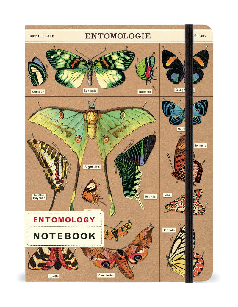 Cavallini - Large Lined Notebook 6x8ins - Entomology/Entomologie - 144 Pages With Elastic Enclosure