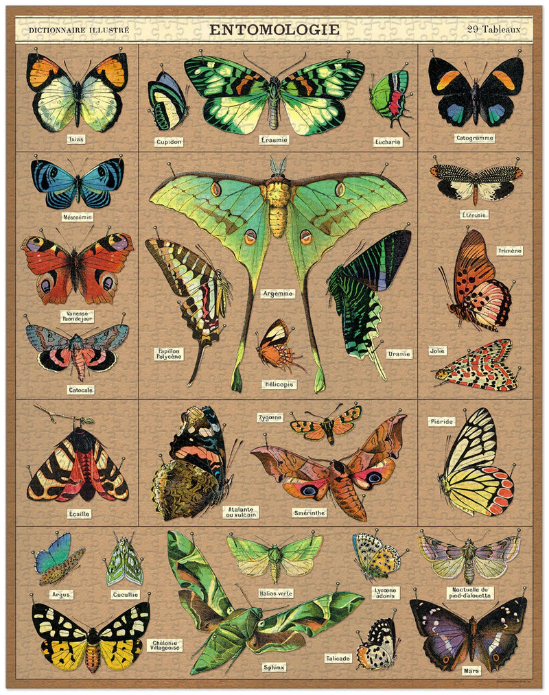 Cavallini - Vintage Jigsaw Puzzle - 1000 Pieces - 55x70cms - Entomology - Moths & Butterflies