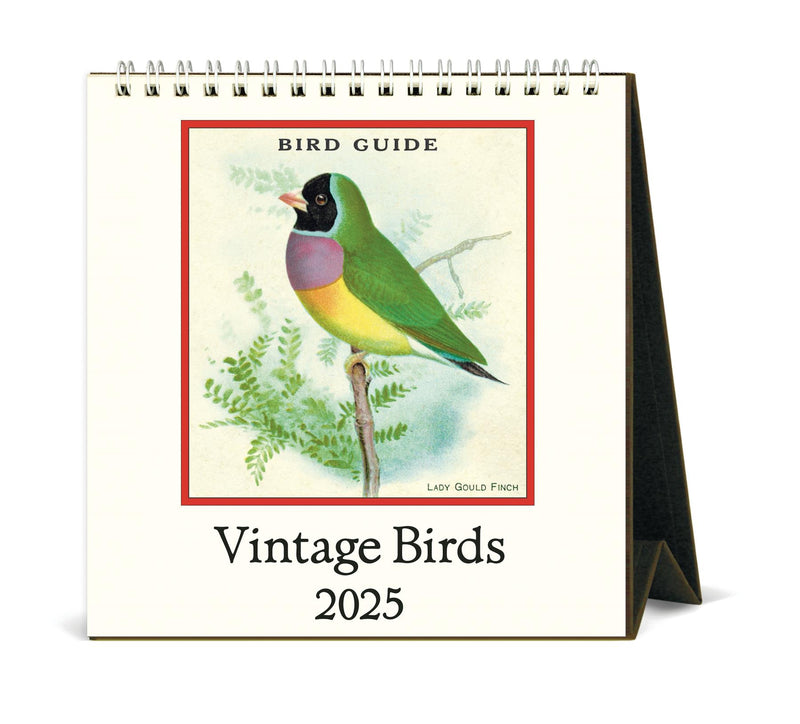 Cavallini - 2025 Desk Calendar - 6 x 6.5ins - Vintage Birds