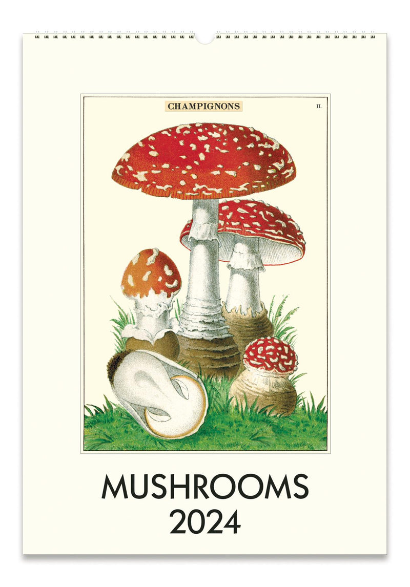 Cavallini - 2024 Wall Calendar - 13 x 19ins - Mushrooms/Fungi/Champignons