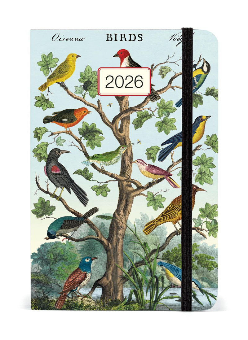 Cavallini 2026 Diary - Birds/Oiseaux - 4x6ins - Week At A Glance Layout - Elastic Enclosure