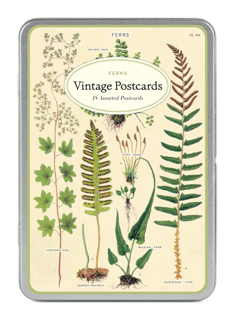 Cavallini - Carte Postale - Ferns - Tin of 18 Postcards - 9 Designs/2 Per Design