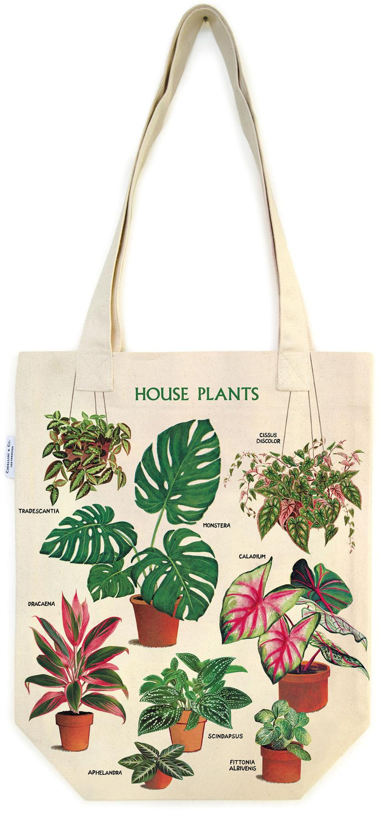 Cavallini - 100% Natural Cotton Vintage Tote Bag - 33x40.5cms - House Plants