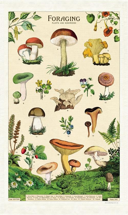 Cavallini - 100% Natural Cotton Vintage Tea Towel - 80 x 47cms - Foraging Plants & Mushrooms