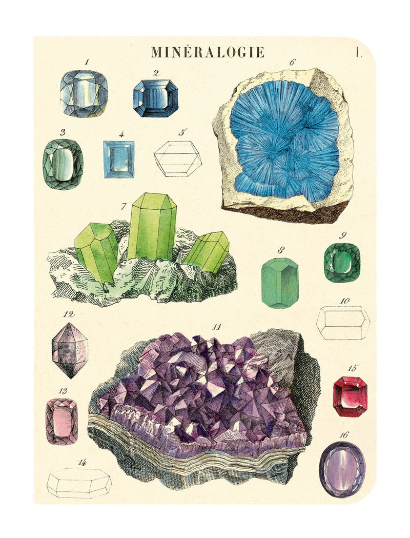 Cavallini - Set of 3 Mini Notebooks - Mineralogy