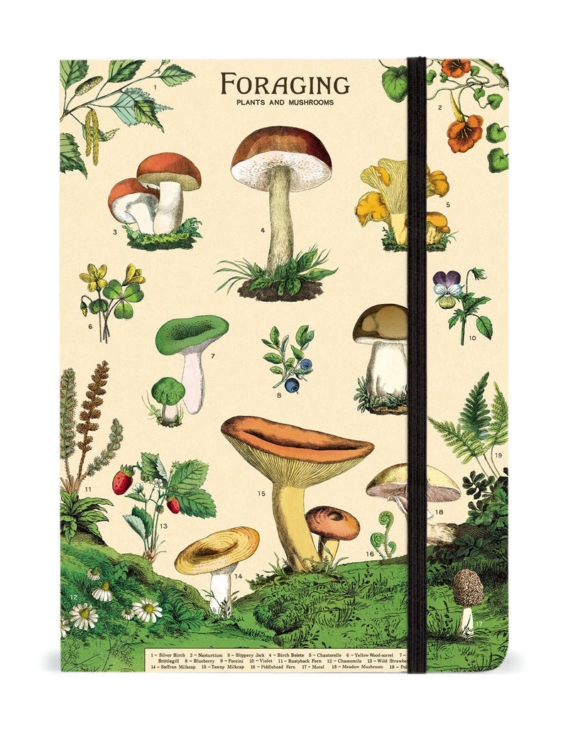 Cavallini - Large Lined Notebook 6x8ins - Foraging Plants & Mushrooms - 144 Pages With Elastic Enclosure