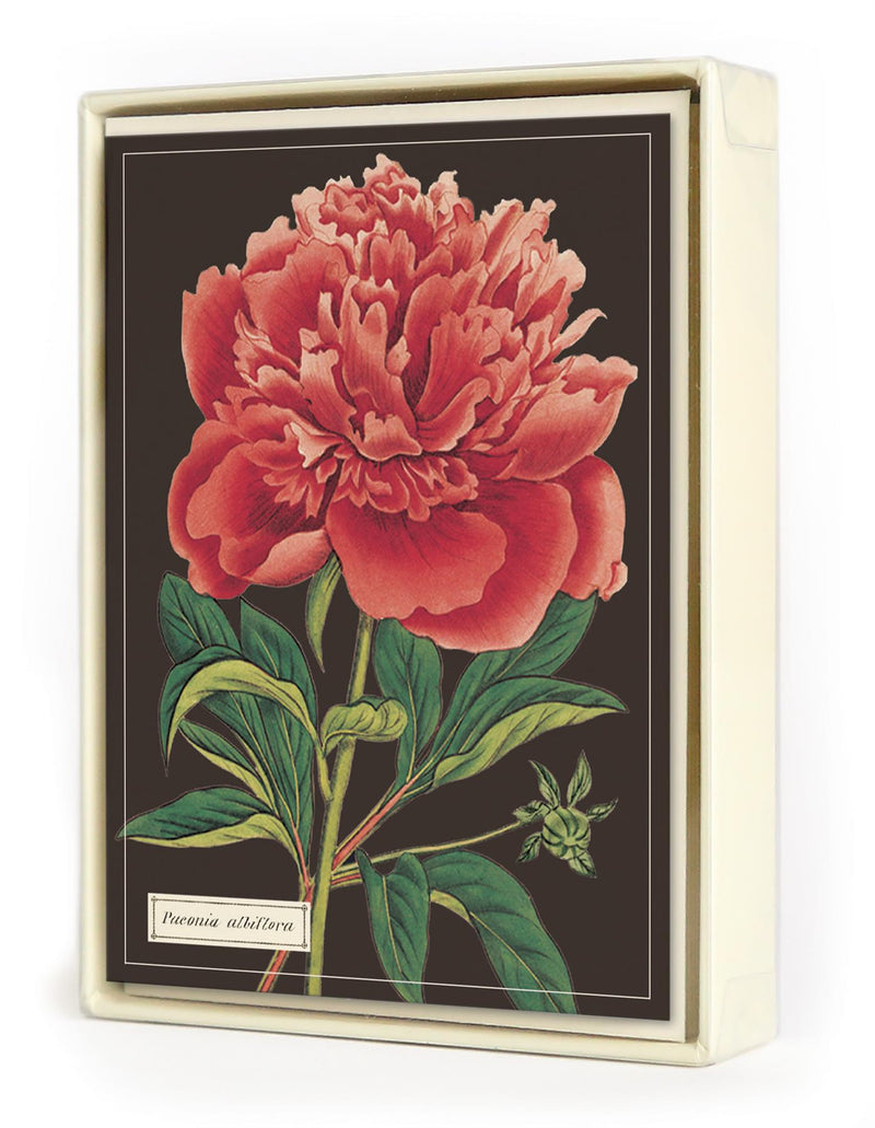 Cavallini - 8 Assorted Notecards - 4 Designs/2 Per Design - Botanical