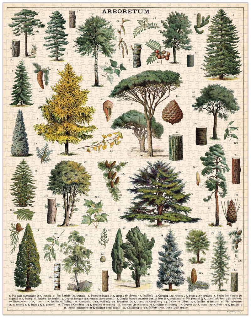 Cavallini - Vintage Jigsaw Puzzle - 1000 Pieces - 55x70cms - Arboretum/Trees