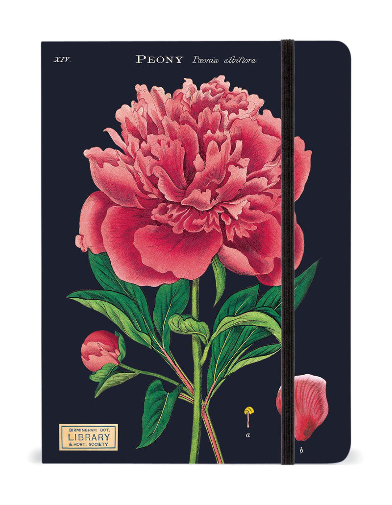Cavallini - Large Lined Notebook 6x8ins - Botany/Peony - 144 Pages With Elastic Enclosure