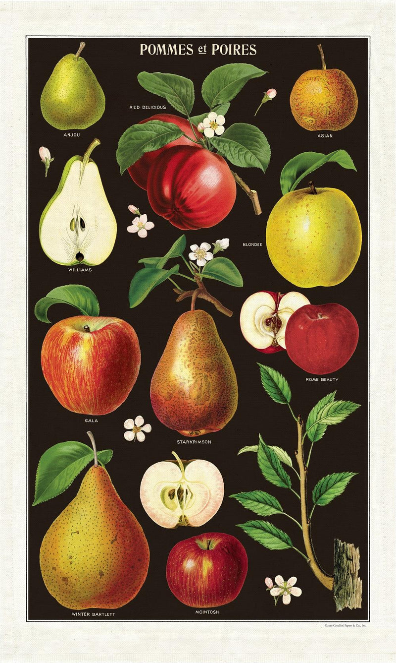 Cavallini - 100% Natural Cotton Vintage Tea Towel - 80 x 47cms - Apples & Pears