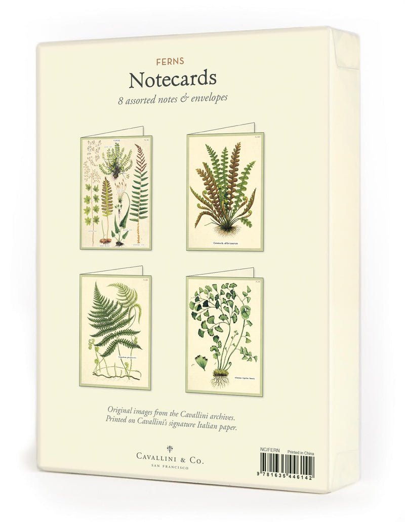 Cavallini - 8 Assorted Notecards - 4 Designs/2 Per Design - Ferns