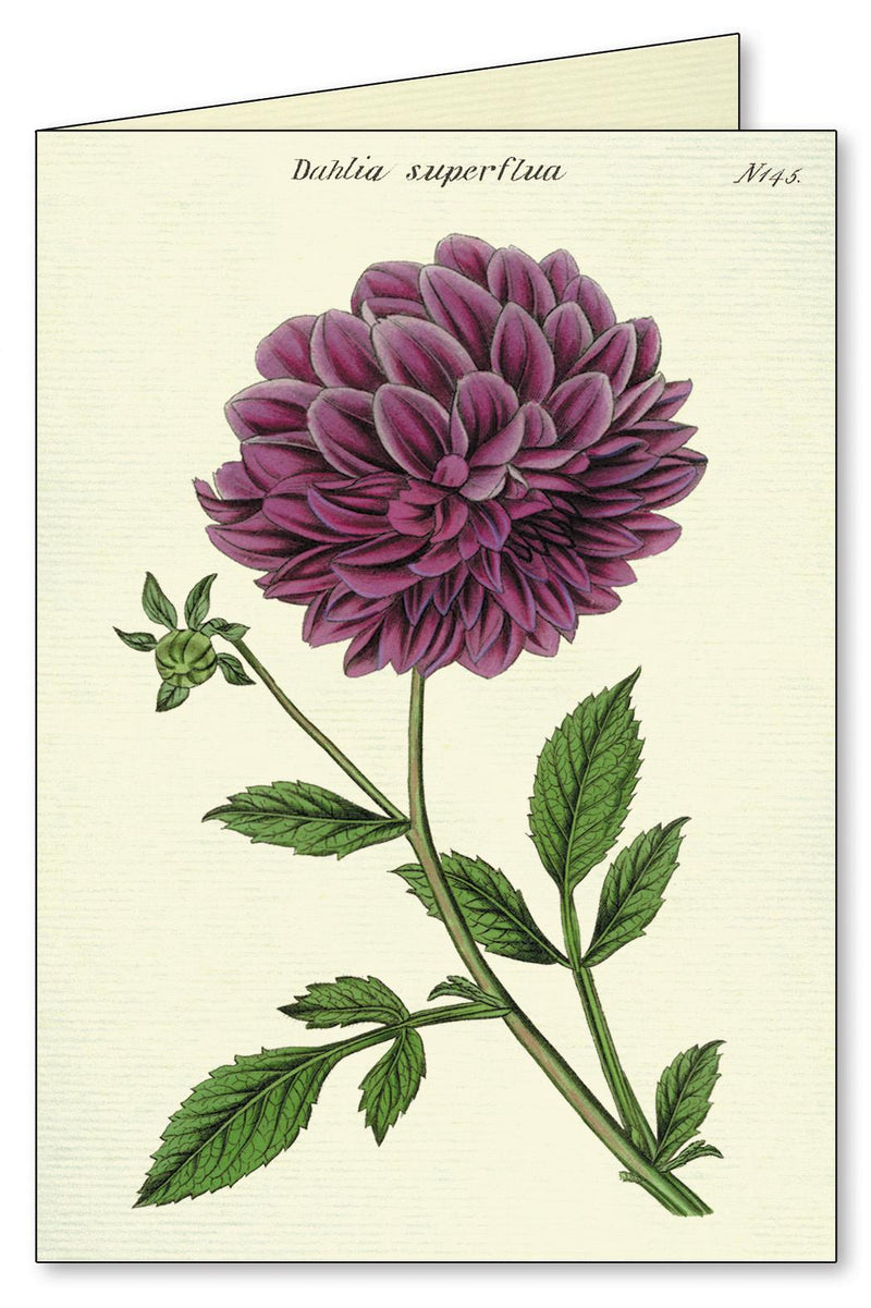 Cavallini - 8 Assorted Notecards - 4 Designs/2 Per Design - Botanical