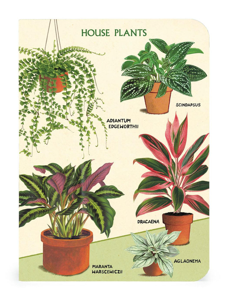 Cavallini - Set of 3 Mini Notebooks - House Plants - Lined, Blank & Graph Interiors